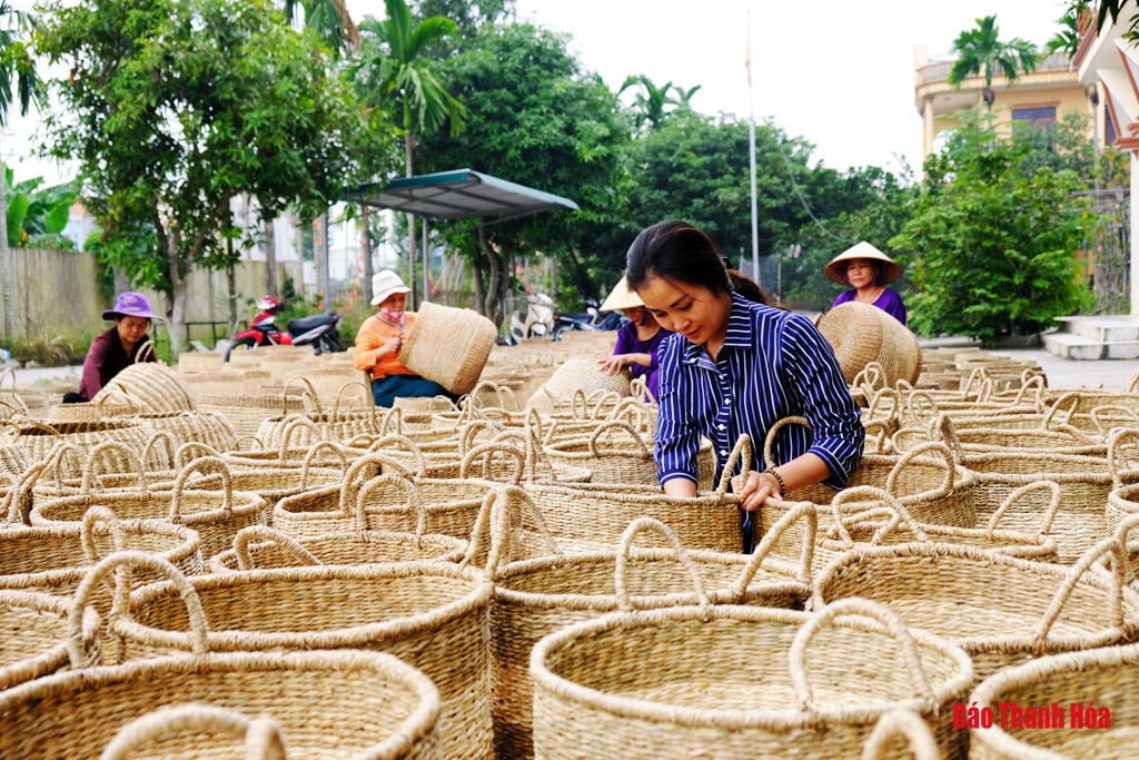 Độc đáo những sản phẩm mỹ nghệ làm từ cói, bèo tây