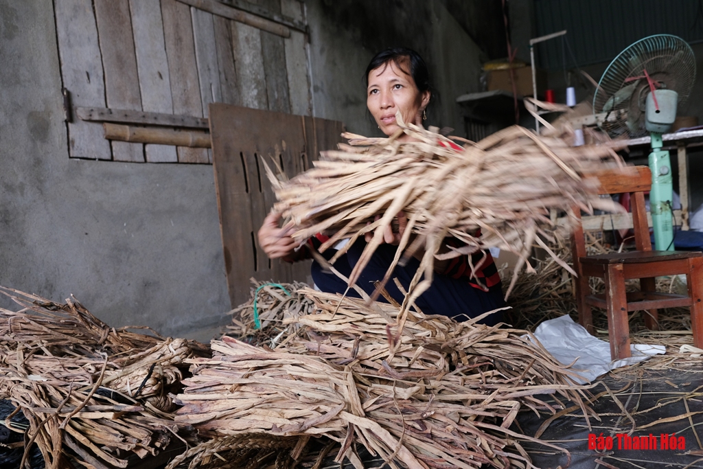 Độc đáo những sản phẩm mỹ nghệ làm từ cói, bèo tây