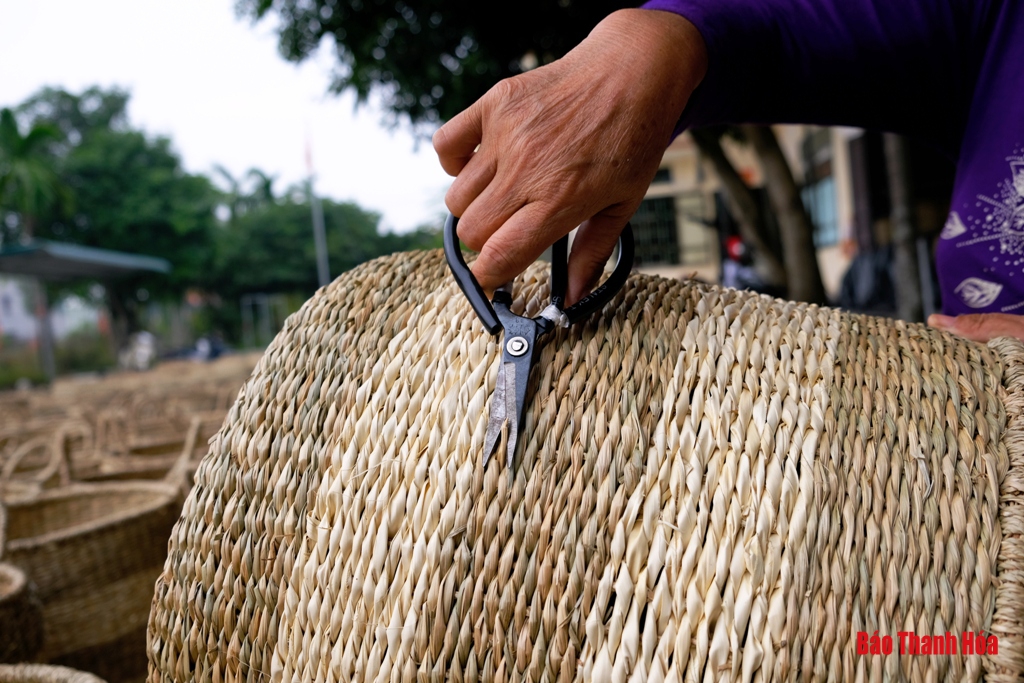 Độc đáo những sản phẩm mỹ nghệ làm từ cói, bèo tây