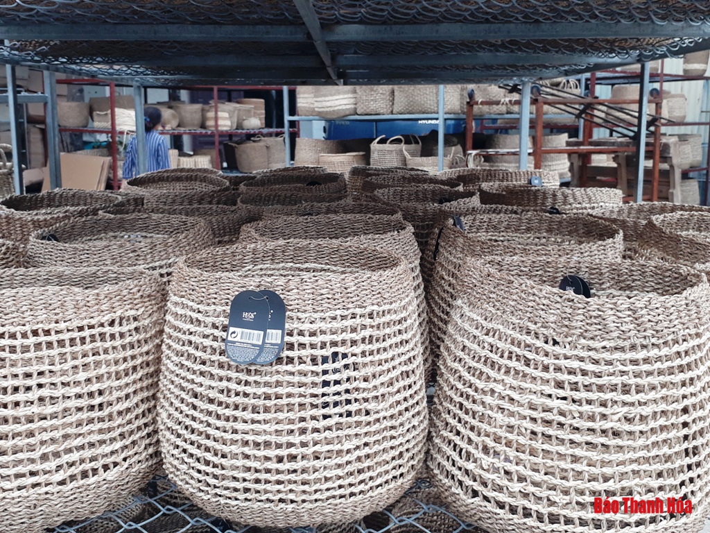 Độc đáo những sản phẩm mỹ nghệ làm từ cói, bèo tây