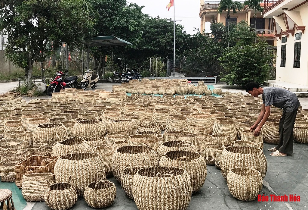 Độc đáo những sản phẩm mỹ nghệ làm từ cói, bèo tây